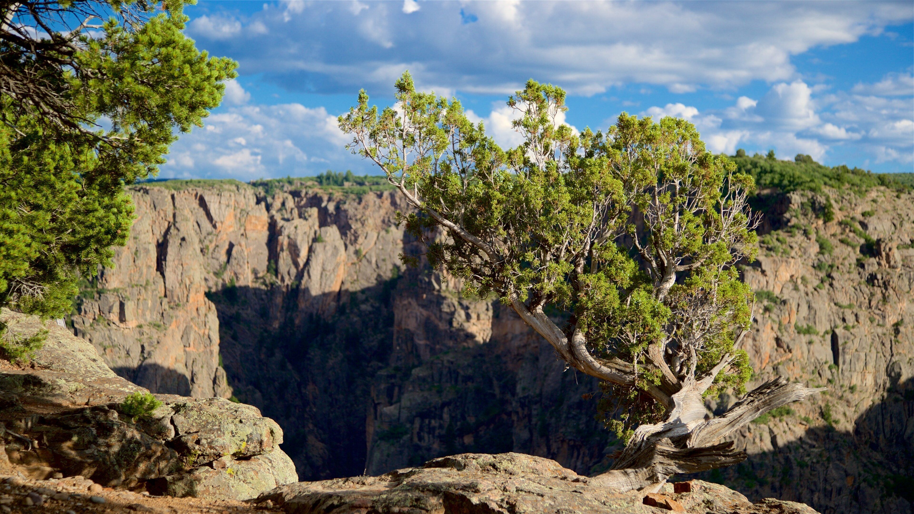 Chasm View Nature Trail