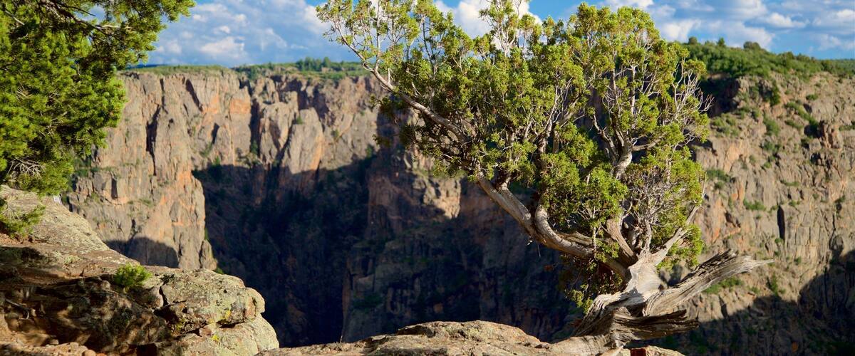 Chasm View Nature Trail