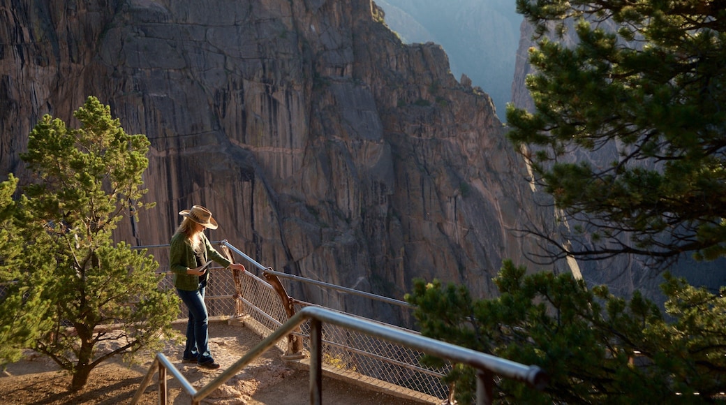 Montrose mostrando un barranco o cañón y vistas y también una mujer