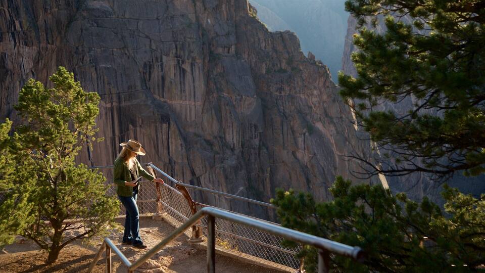 A person standing on a metal railing overlooking a canyon with a mountain in the background.