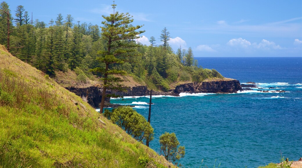 Norfolk Island featuring general coastal views and rugged coastline
