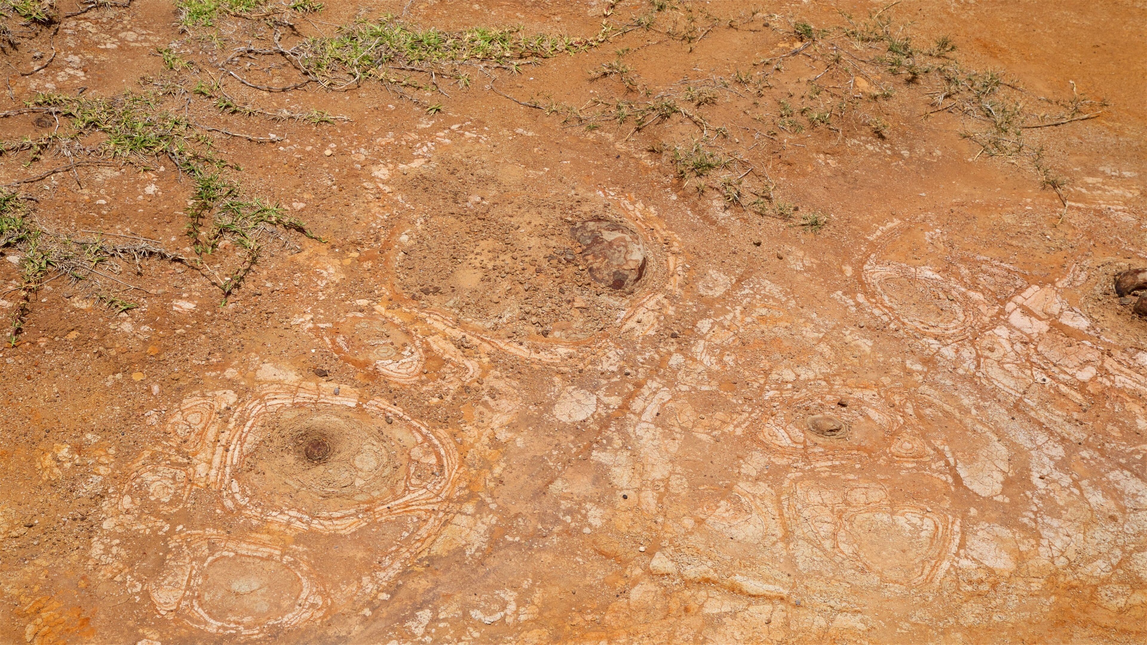 노퍽 섬 을 보여주는 한적한 풍경