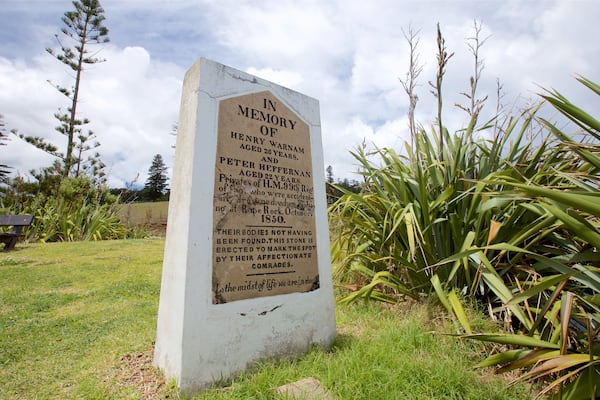 A memorial stone with inscriptions, surrounded by grass and plants.