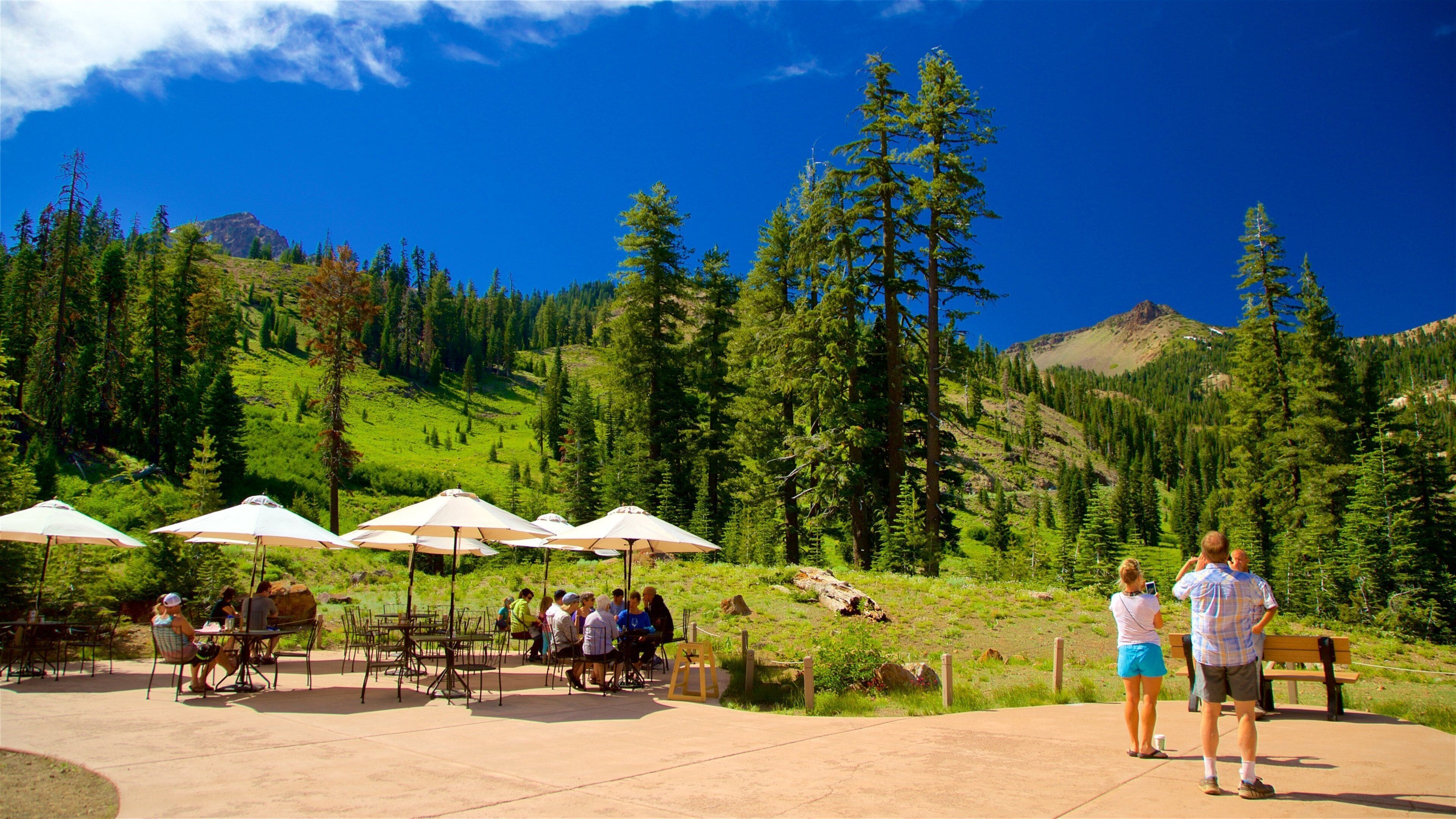 Mill Creek som viser rolig landskap og spise utendørs i tillegg til en liten gruppe med mennesker