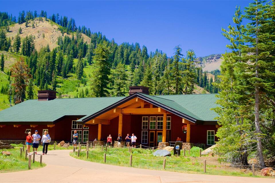 A lodge with a green roof and wooden structure, surrounded by a forest and mountains.
