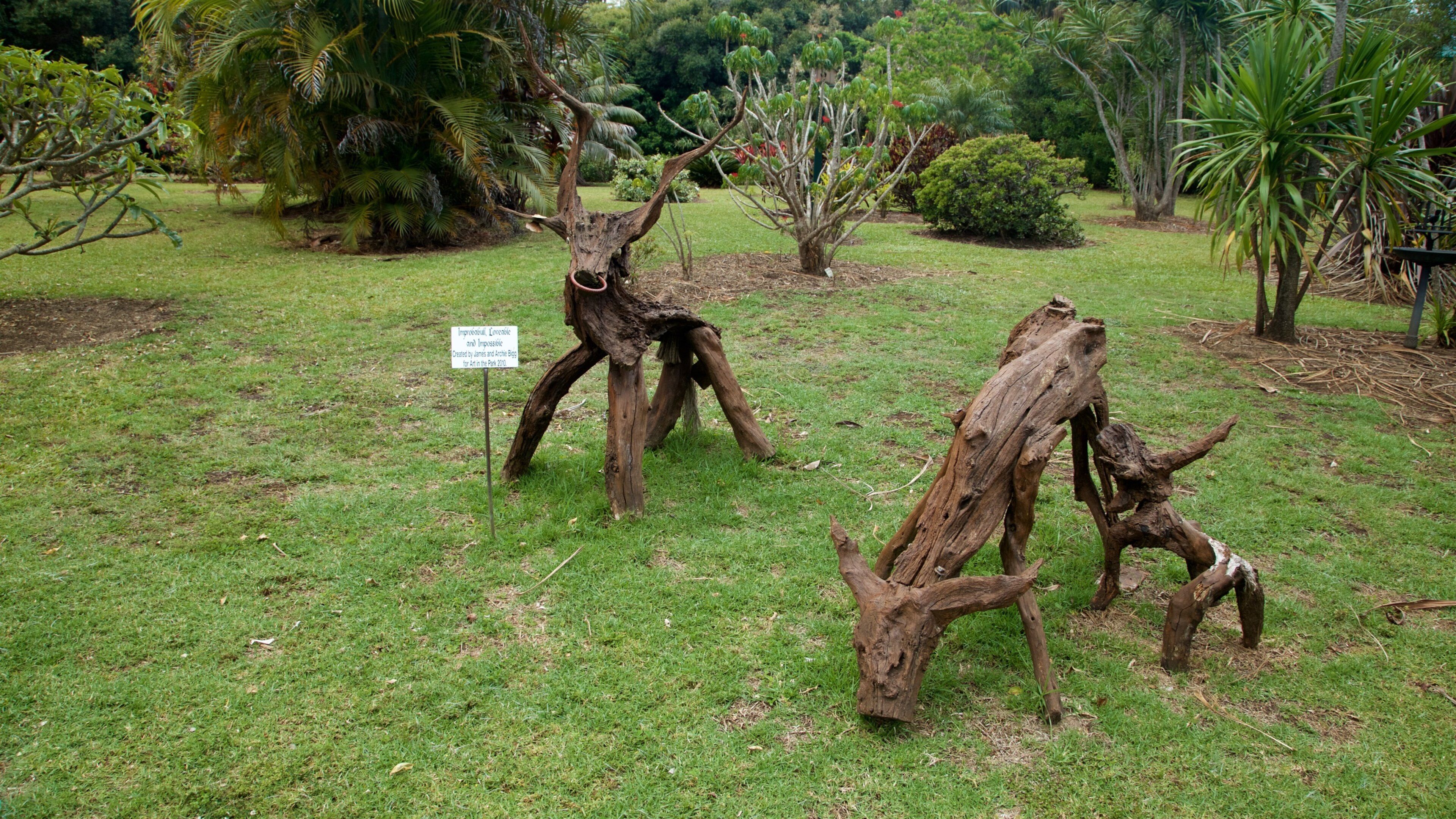 Norfolk Island showing outdoor art and a garden