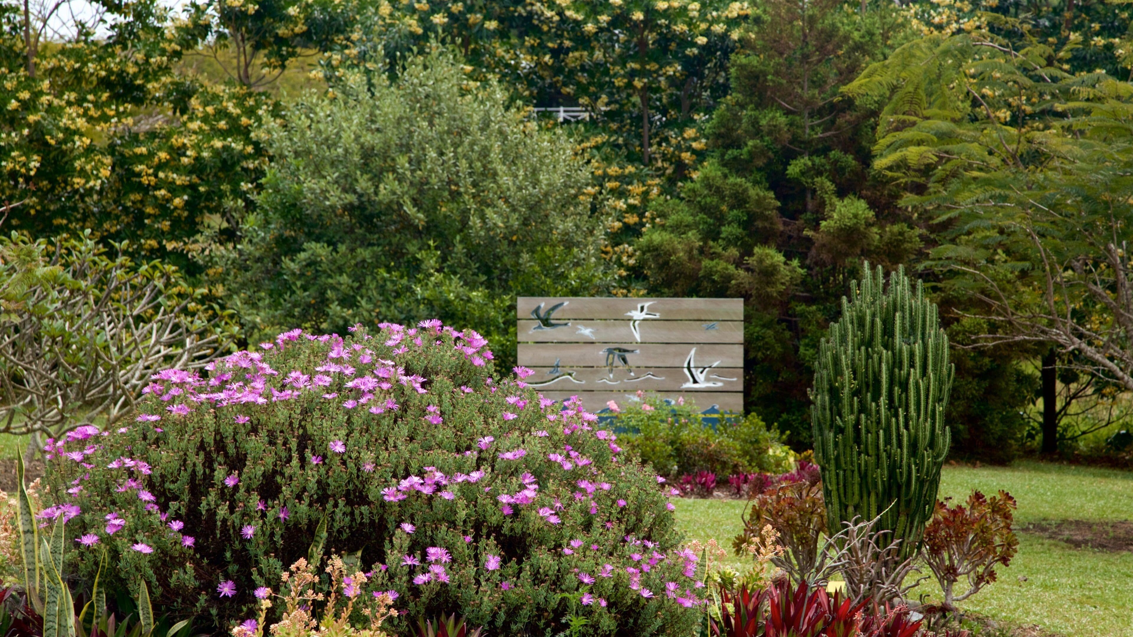 Norfolk Island which includes wildflowers and a park