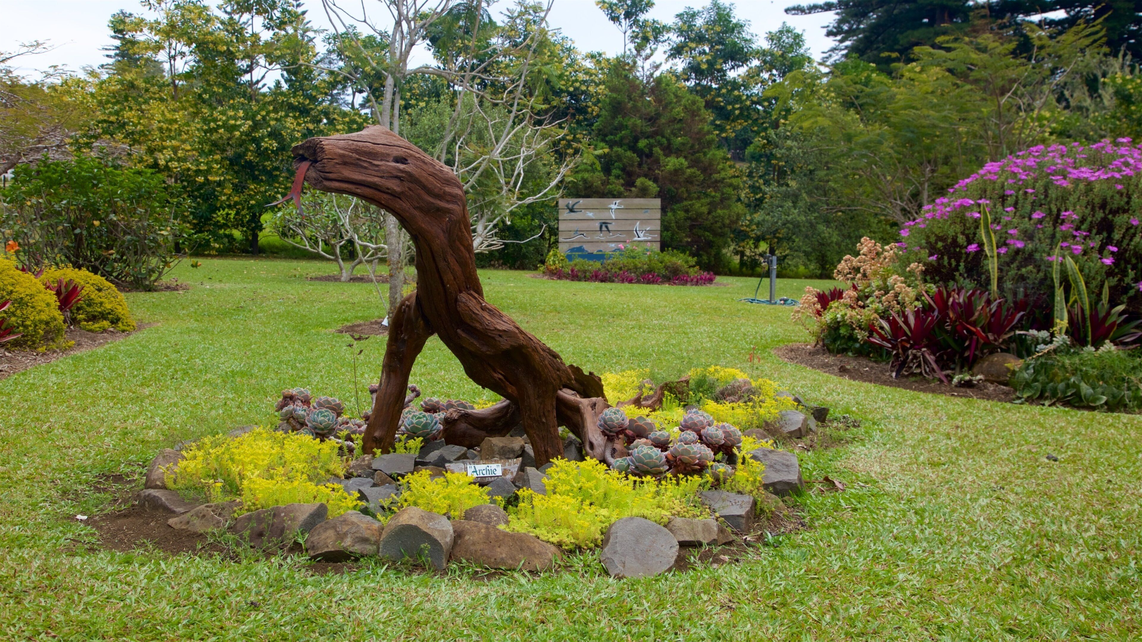 Norfolk Island featuring wild flowers, a garden and outdoor art