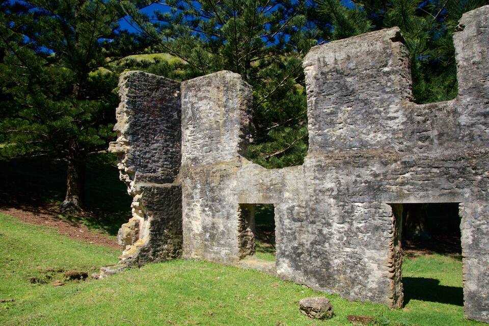 Ancient stone ruins with overgrown grass and trees in the background.