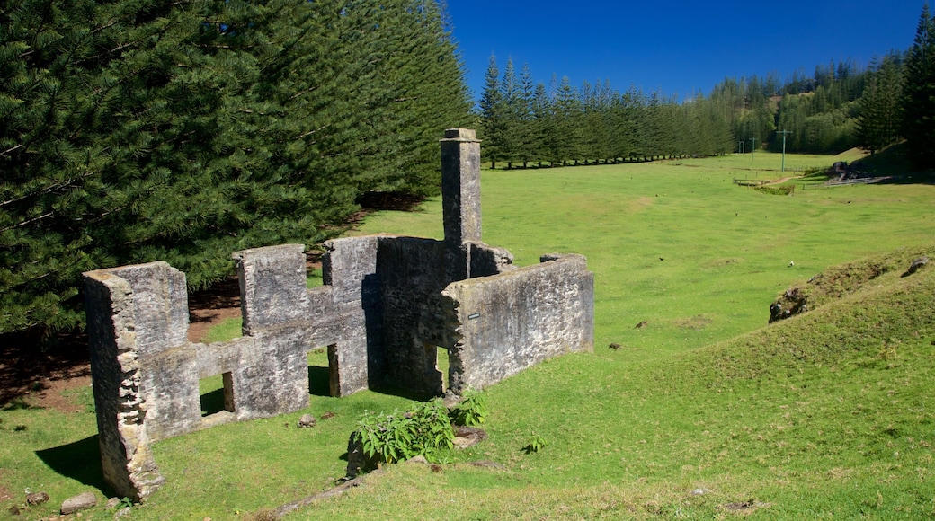Norfolk Island which includes tranquil scenes, a ruin and heritage elements