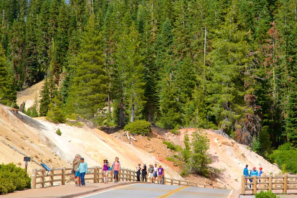 A group of people on a paved road with a wooden fence, surrounded by a forested hillside.