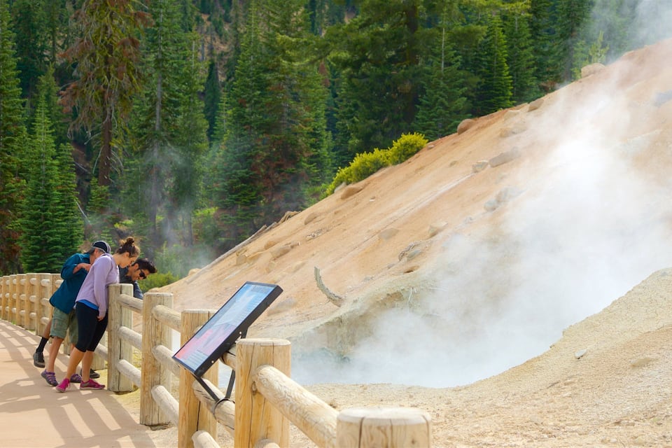 A group of people observing a steam vent on a hillside.