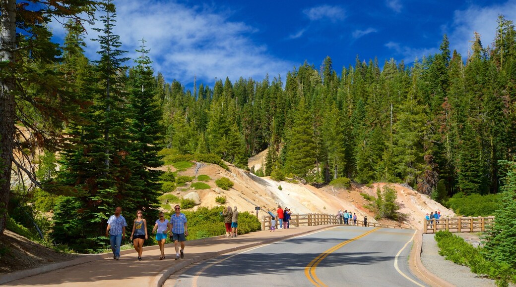 Mill Creek mostrando cenas de floresta e escalada ou caminhada assim como um pequeno grupo de pessoas