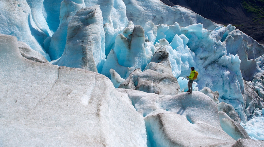 Godwin Glacier showing climbing and snow as well as an individual male