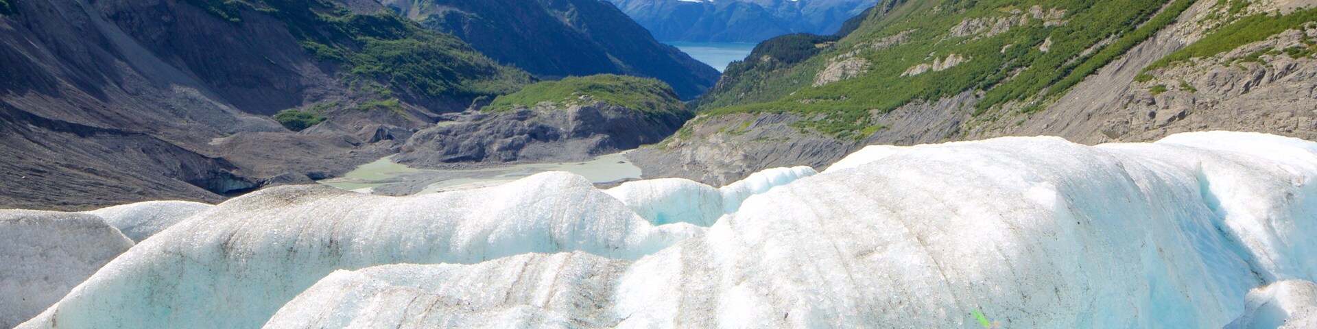 Godwin Glacier