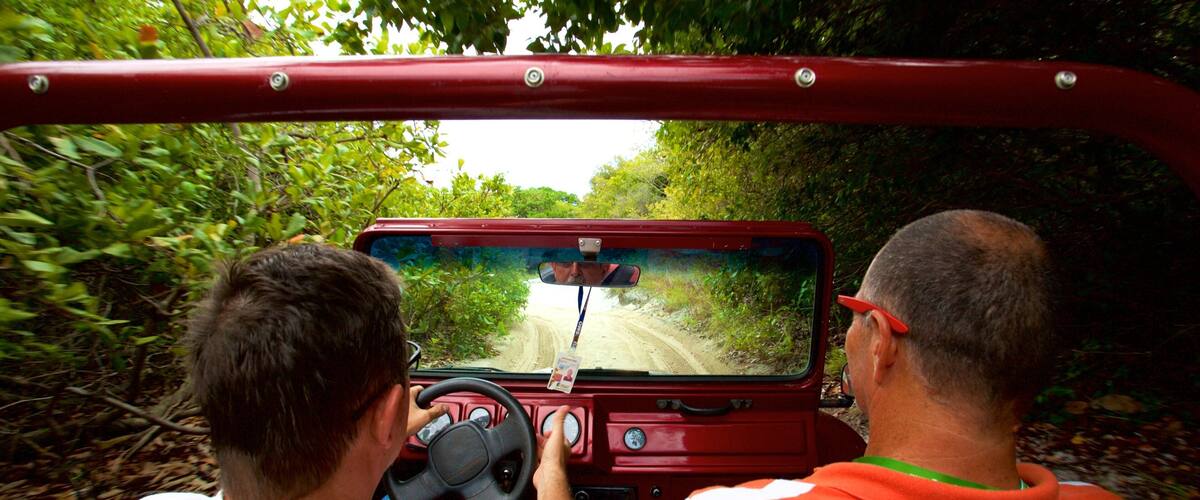 Natal mit einem Waldmotive und Fahrt im GelÀndewagen sowie kleine Menschengruppe