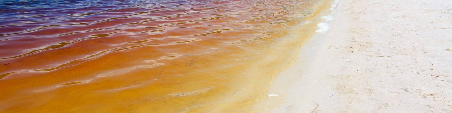 A beach with clear water, a sandy shore, and a forested hill in the background.