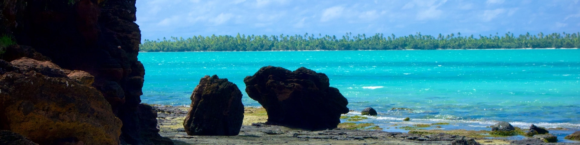 Ein Strand mit großen Felsen, klarem türkisblauem Wasser und einem Wald im Hintergrund.