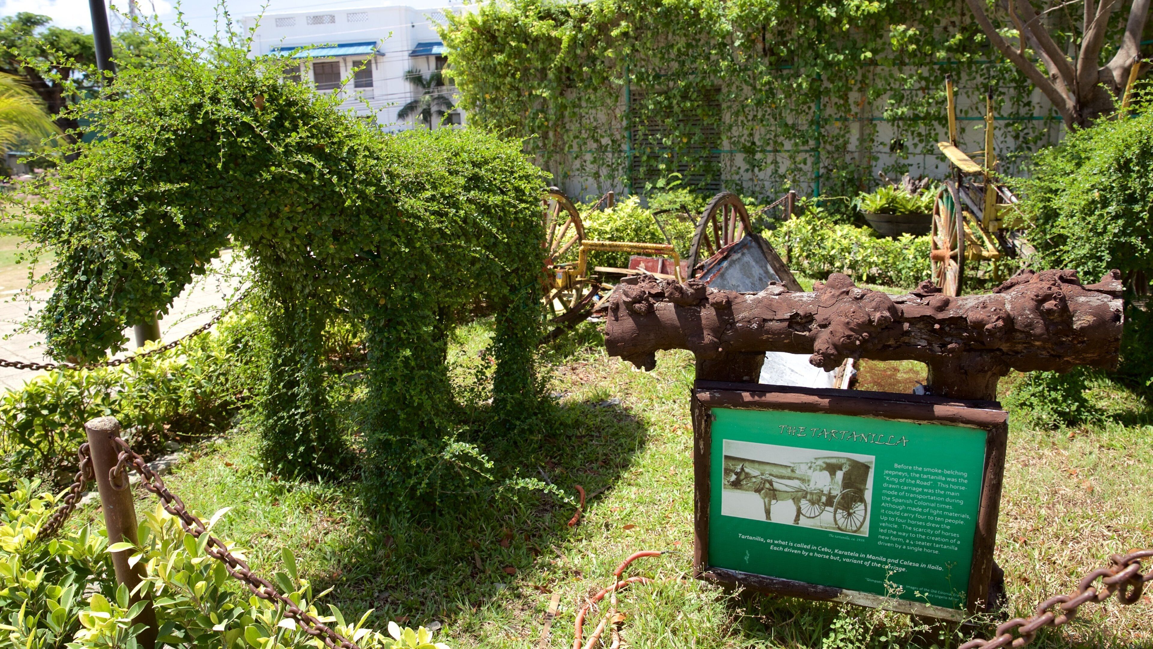 Isla de Cebú ofreciendo un parque y señalización