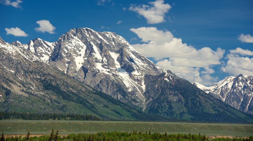 Grand Teton National Park showing mountains, tranquil scenes and landscape views