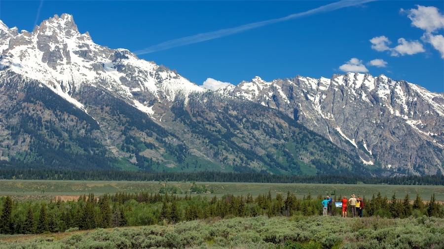 Grand-Teton-Nationalpark welches beinhaltet Landschaften, ruhige Szenerie und Berge