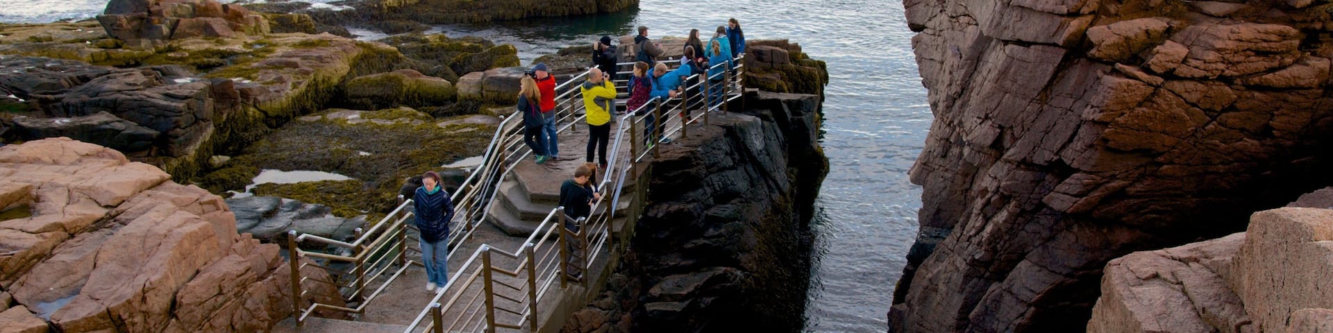 Bar Harbor ofreciendo litoral accidentado y vistas