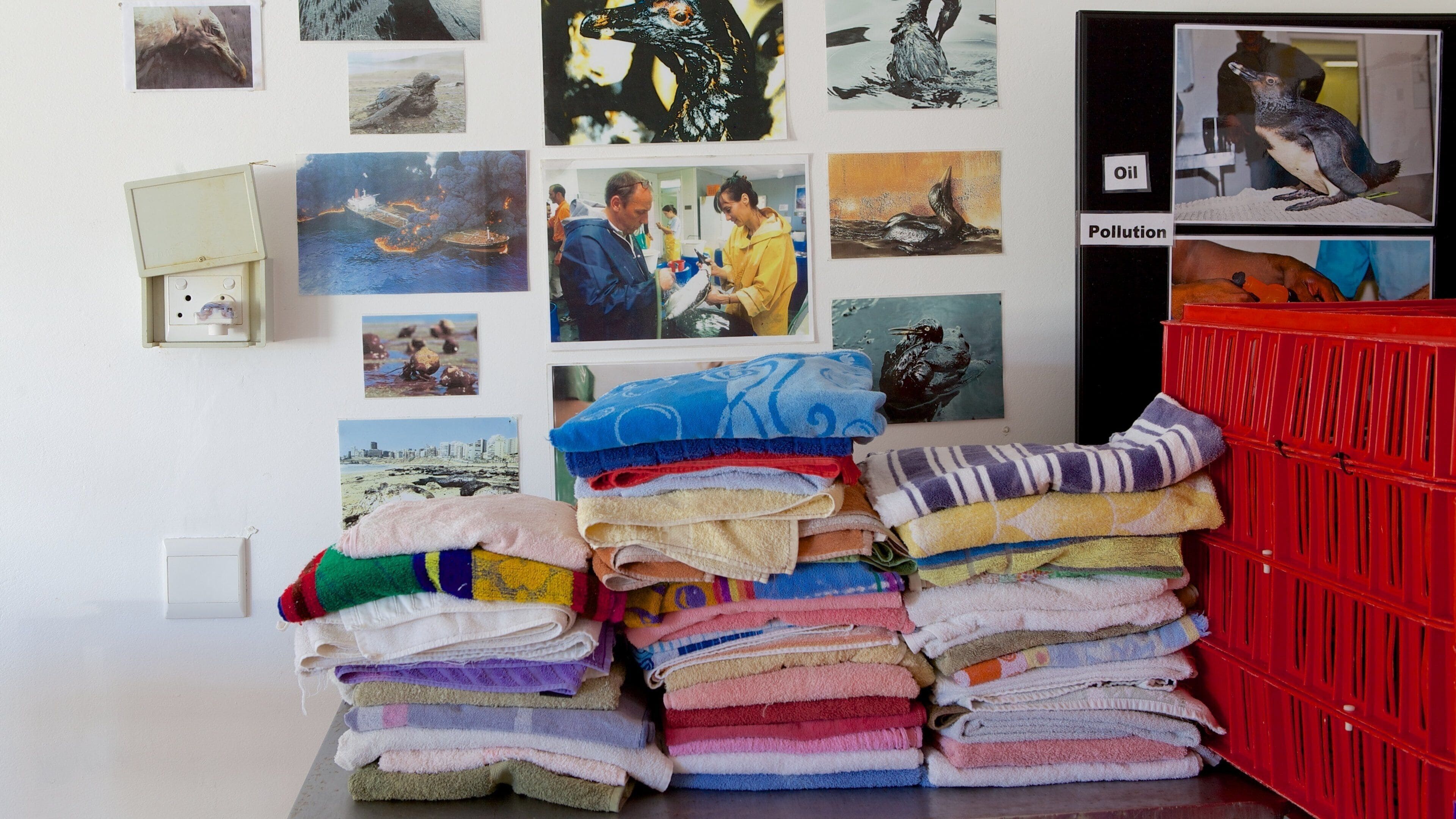 SANCCOB Port Elizabeth which includes interior views