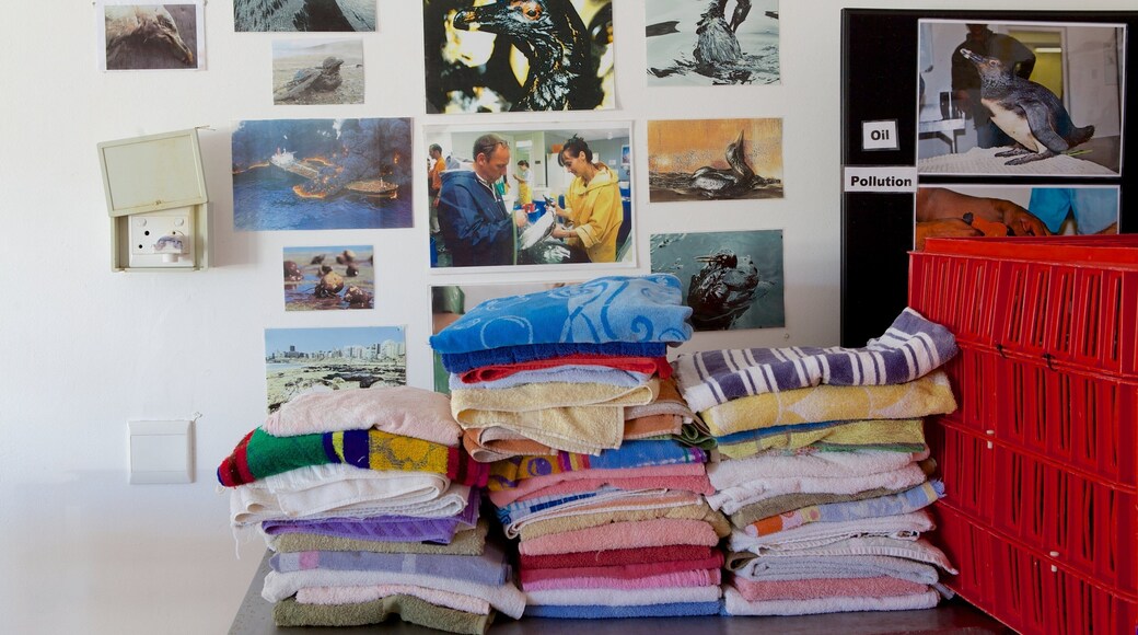 SANCCOB Port Elizabeth which includes interior views