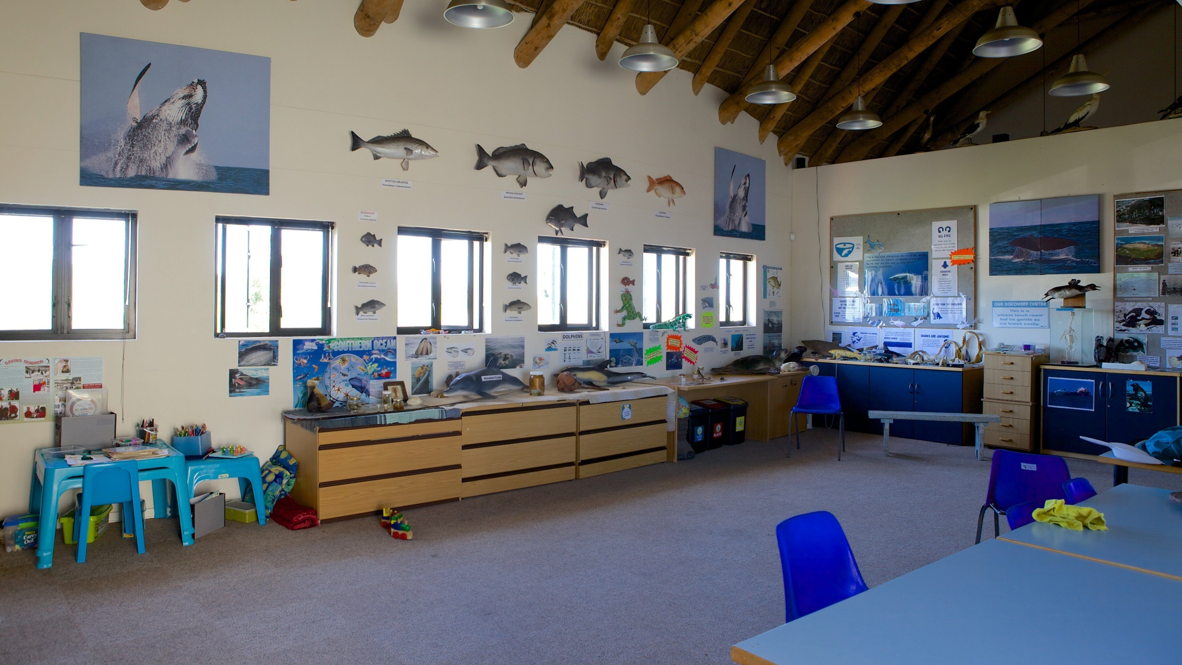 SANCCOB Port Elizabeth which includes interior views