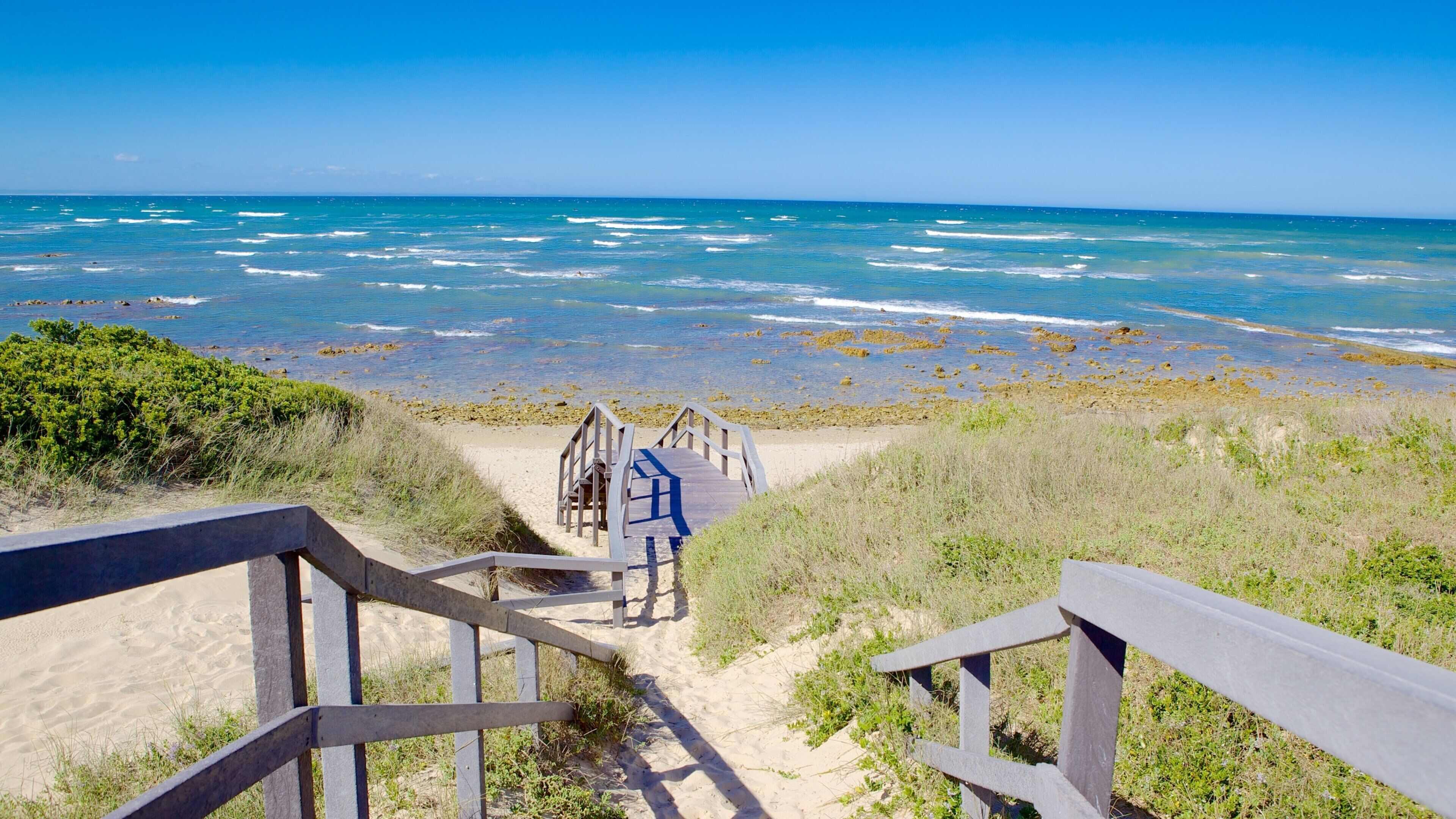 Port Elizabeth featuring general coastal views and a beach