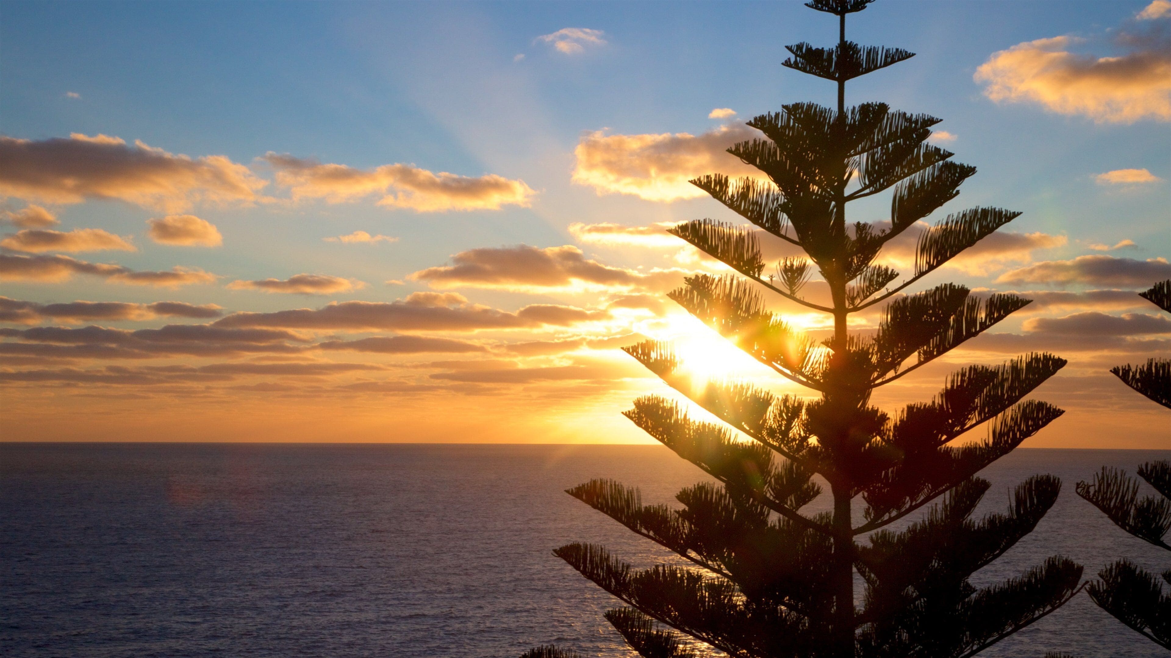 ノーフォーク島 フィーチャー 海岸線の眺め と 夕焼け