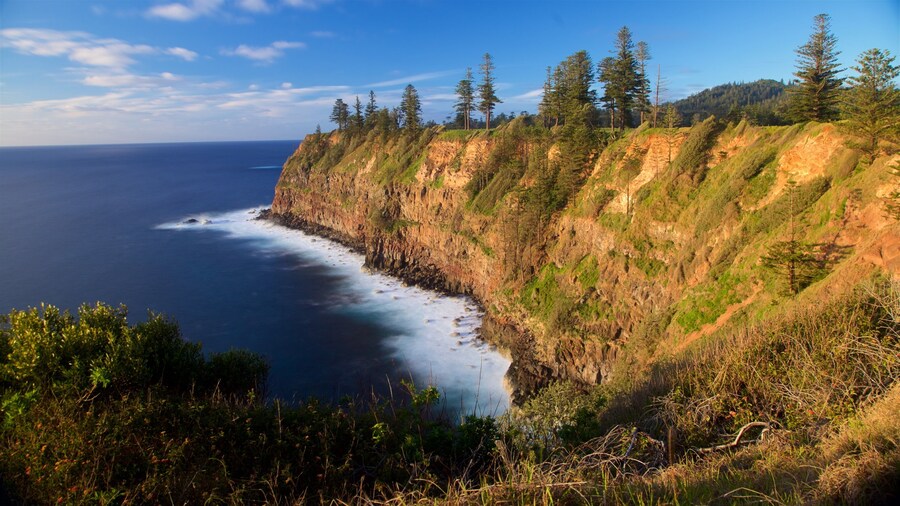 Norfolk Island showing rugged coastline and general coastal views