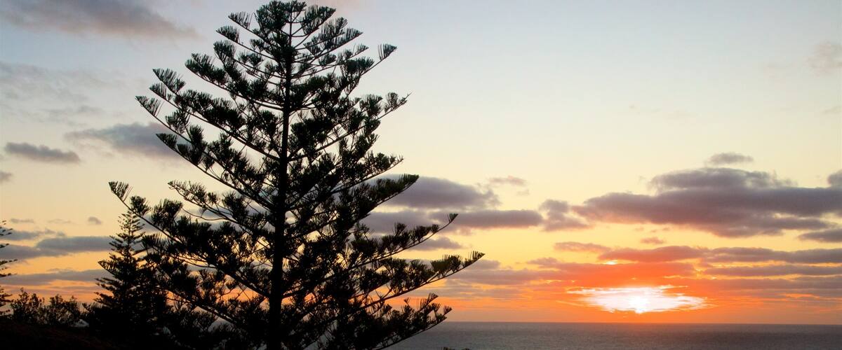 Norfolkinsaaret johon kuuluu auringonlasku ja yleiset rantanäkymät