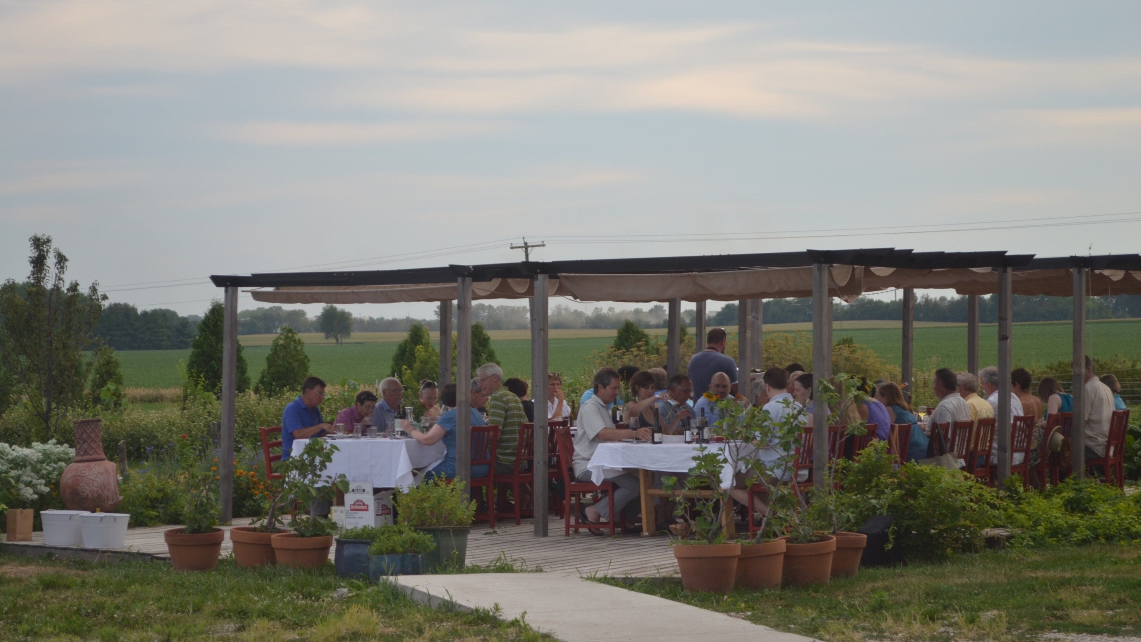 Champaign showing outdoor eating as well as a small group of people
