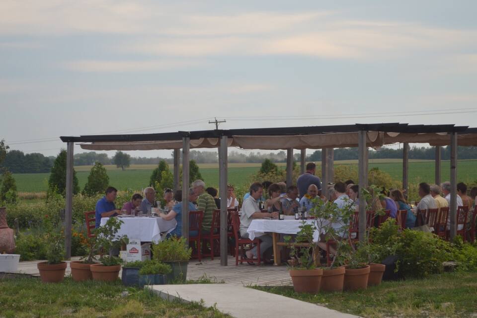 Un grupo de personas cenando al aire libre bajo un pabellón de madera rodeado de plantas en macetas y un campo.