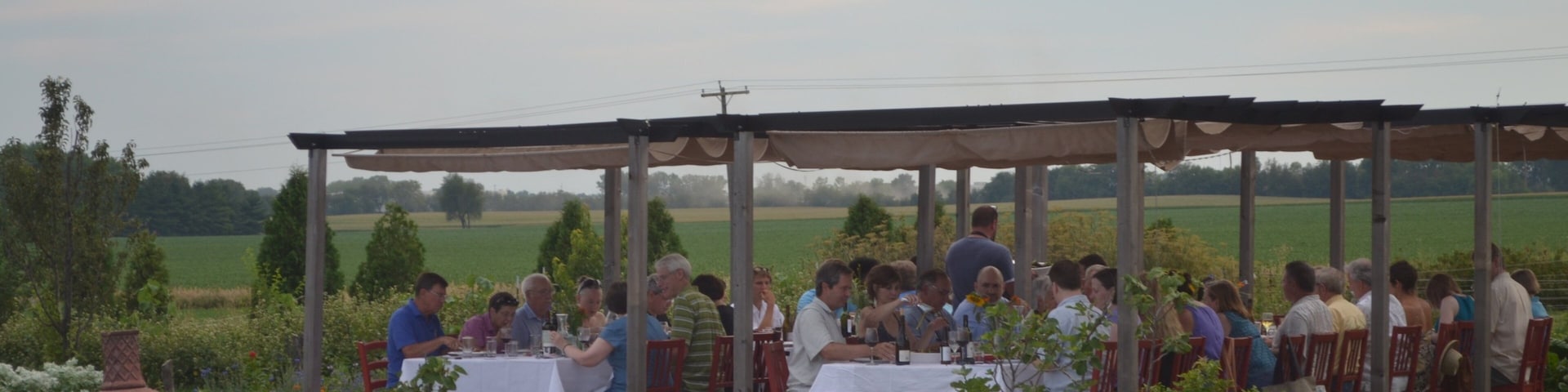 Champaign mostrando jantar ao ar livre assim como um pequeno grupo de pessoas