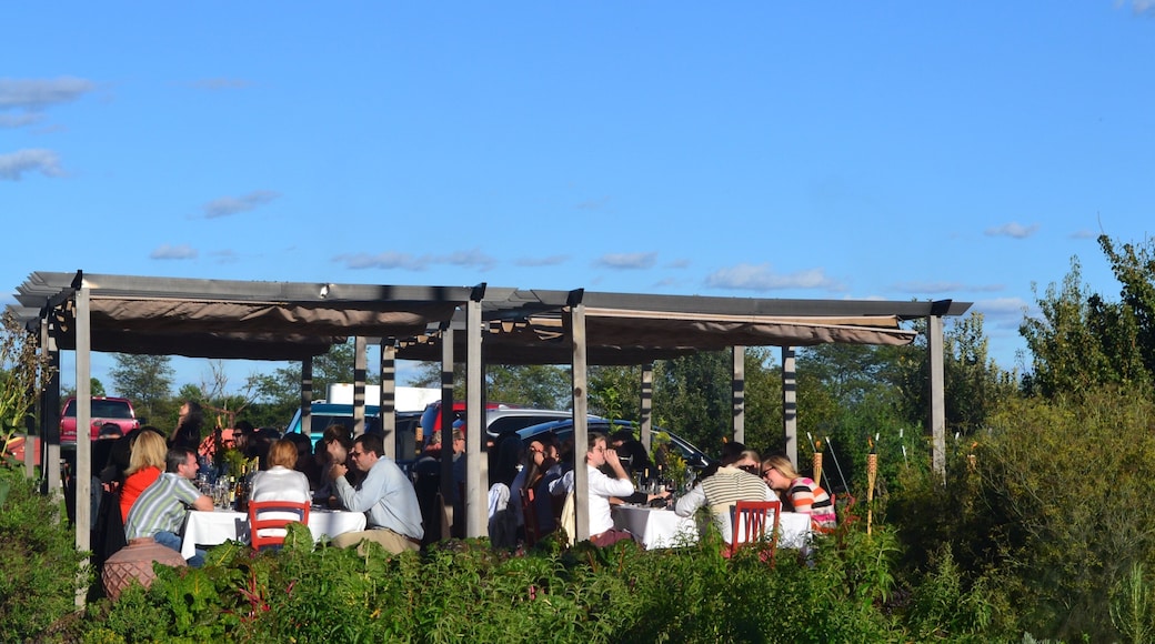 Champaign which includes outdoor eating as well as a small group of people