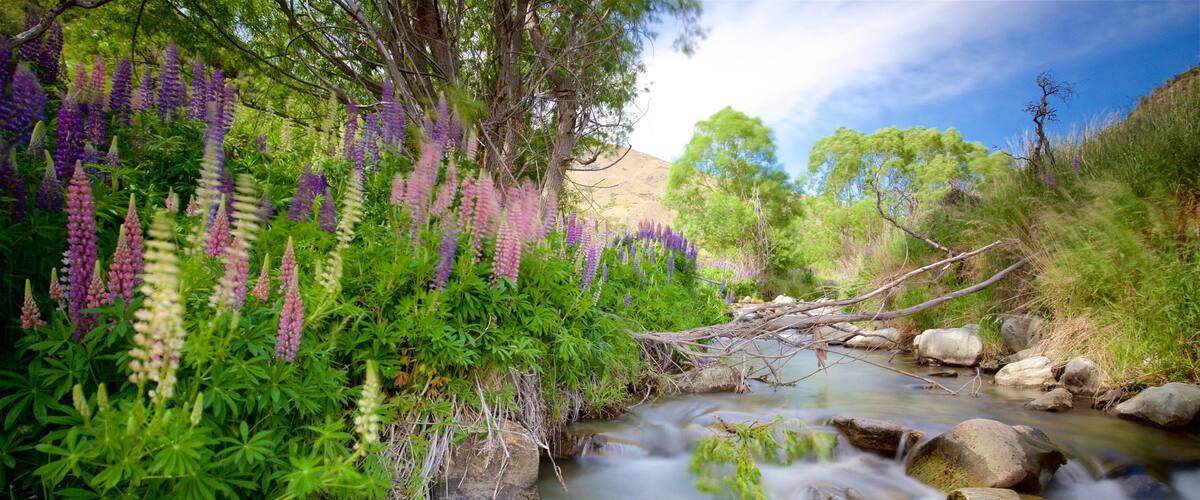 A stream with purple lupine flowers, green foliage, and a fallen tree branch.