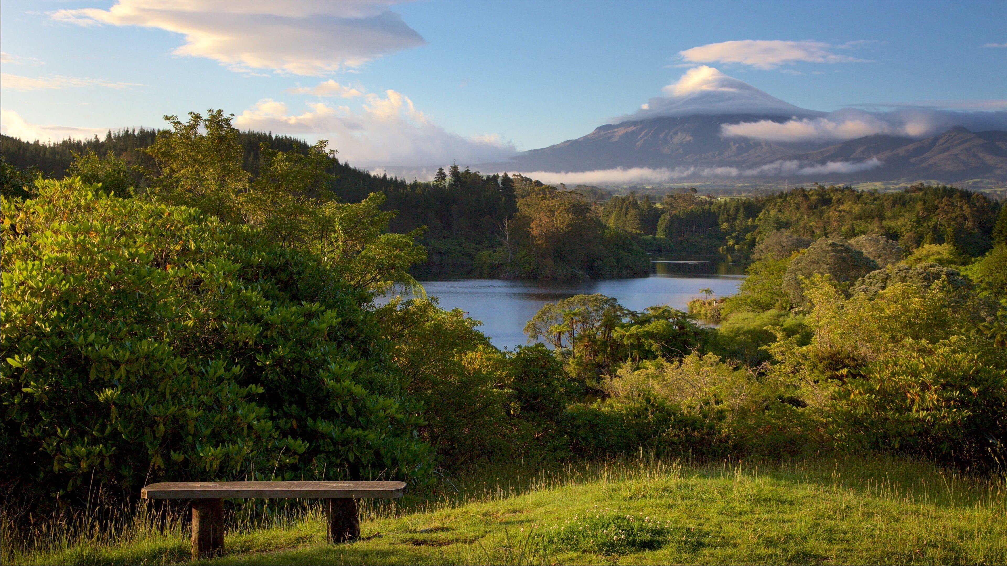 New Plymouth which includes mountains, a lake or waterhole and forest scenes