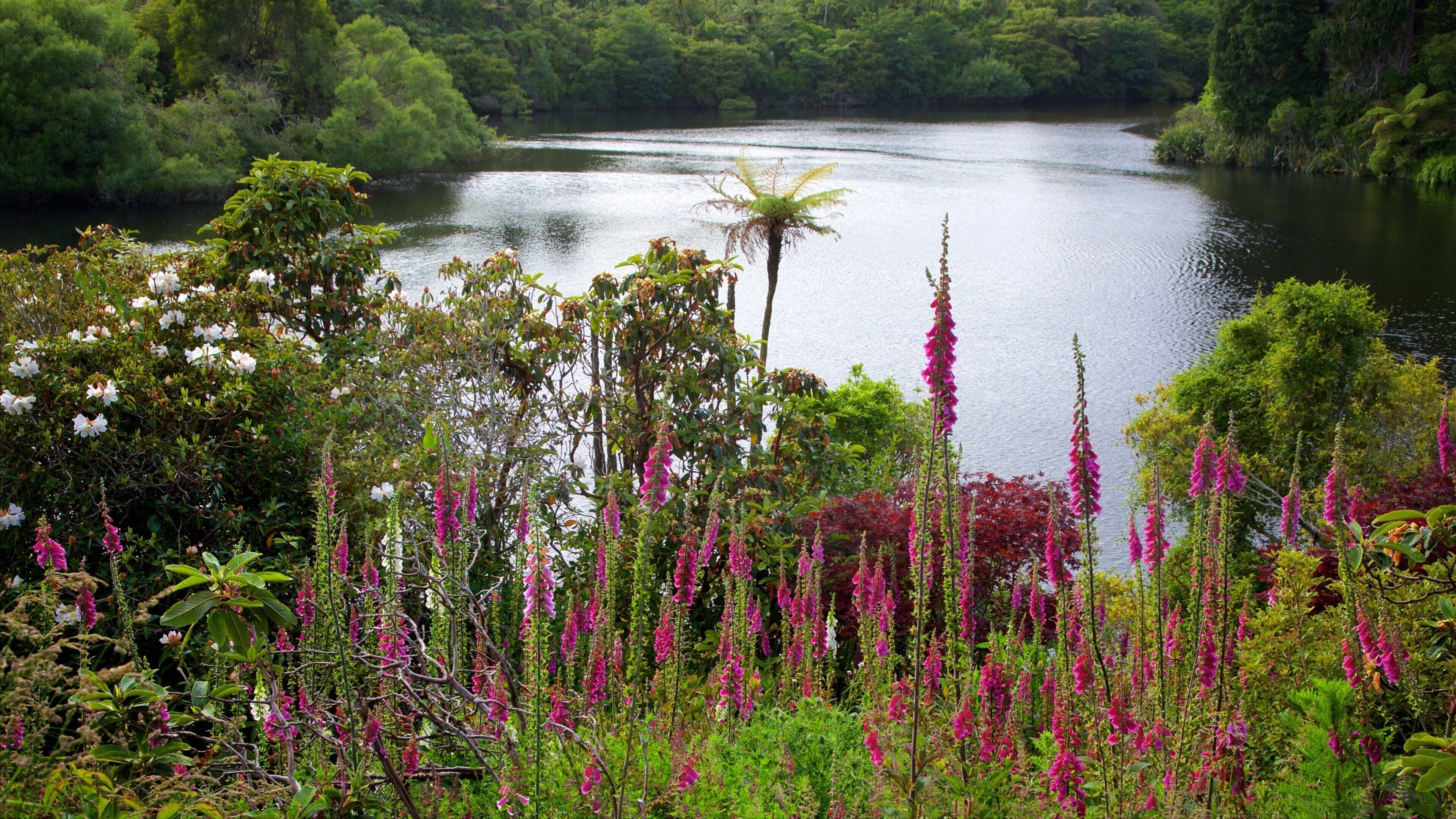 Lake Mangamahoe featuring a river or creek and wildflowers