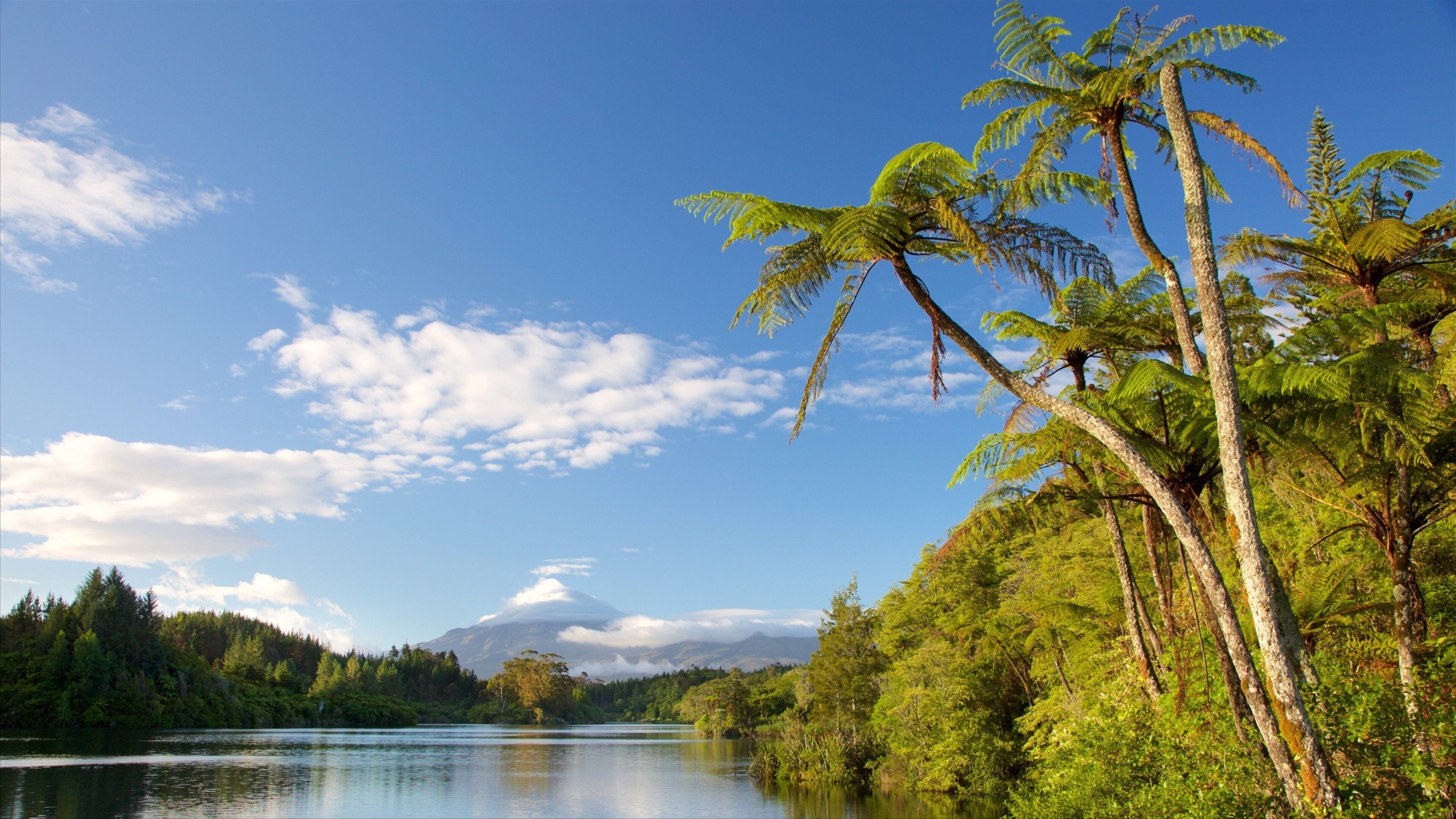 Lake Mangamahoe showing a lake or waterhole and mountains