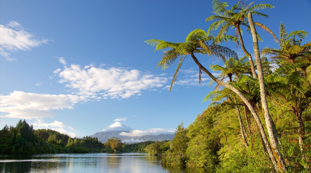 Lake Mangamahoe showing a lake or waterhole and mountains