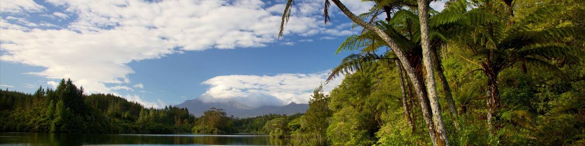 New Plymouth mit einem Bucht oder Hafen