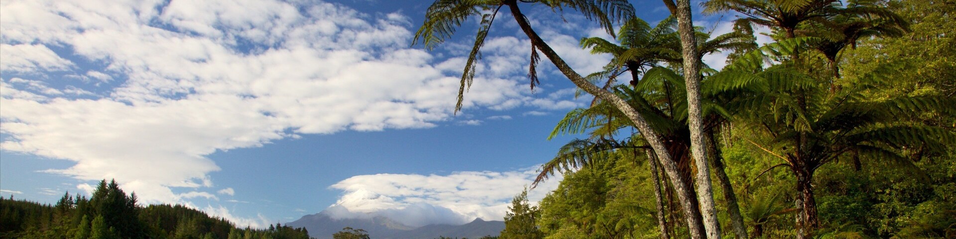 Nueva Plymouth mostrando una bahía o un puerto