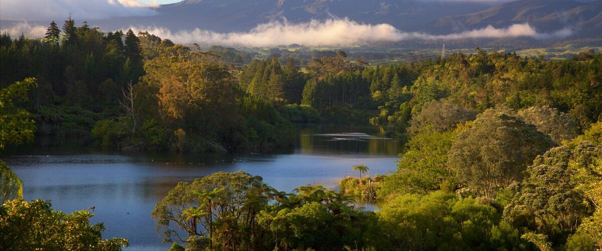 A lake surrounded by dense forest and a mountain with clouds.