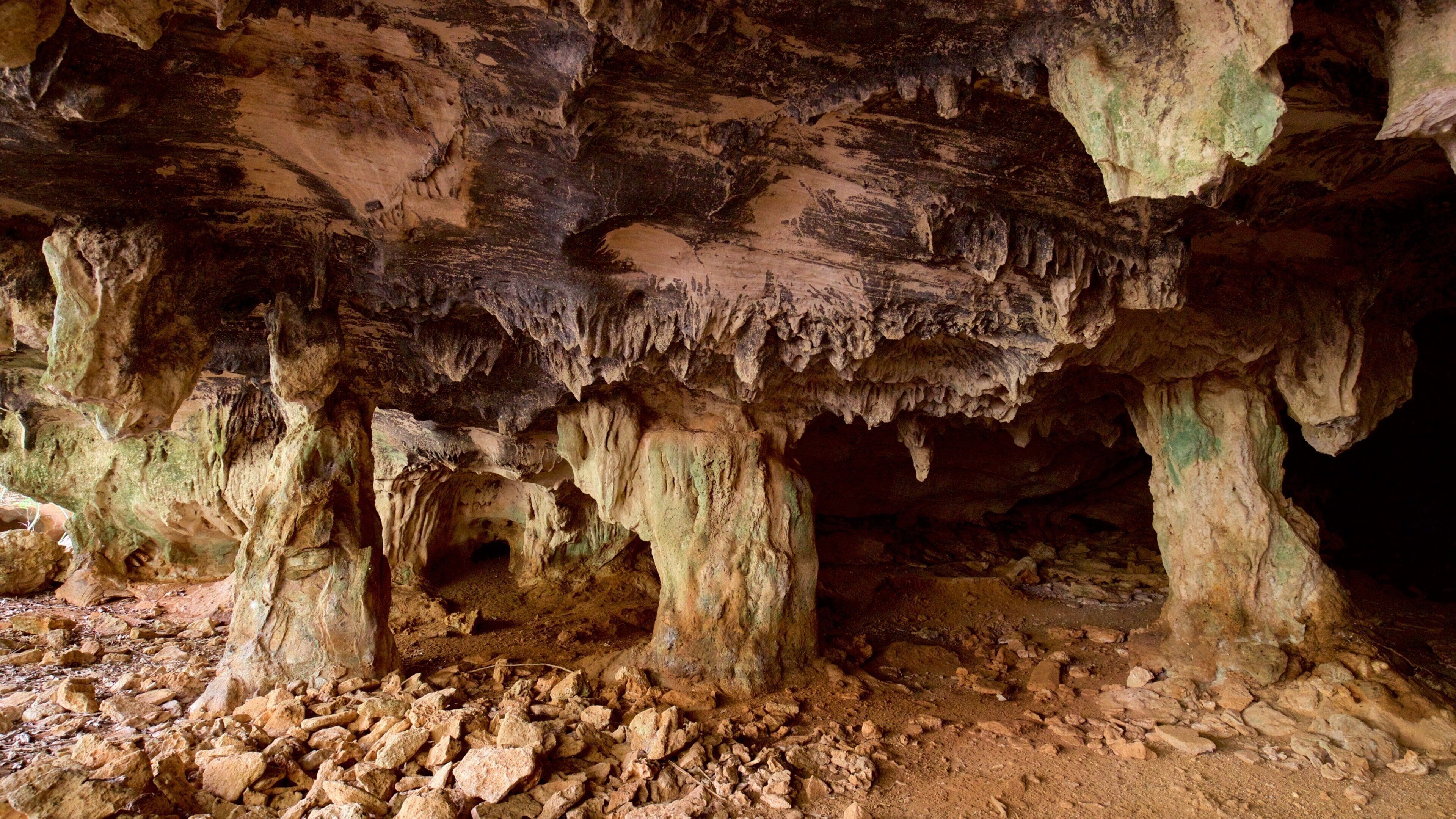 Varahicacos Ecological Reserve inclusief grotten