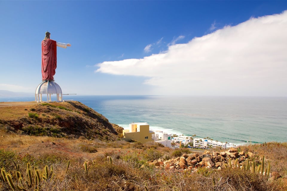 A statue on a hill overlooking a coastal town.