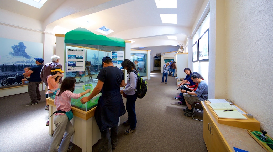 Mill Creek mostrando vista interna y también un pequeño grupo de personas