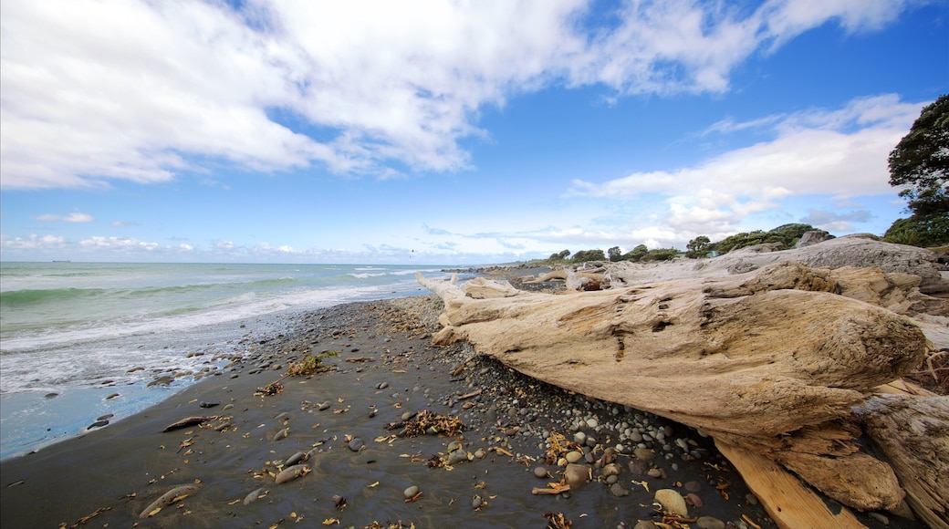 New Plymouth bevat een strand en een kiezelstrand