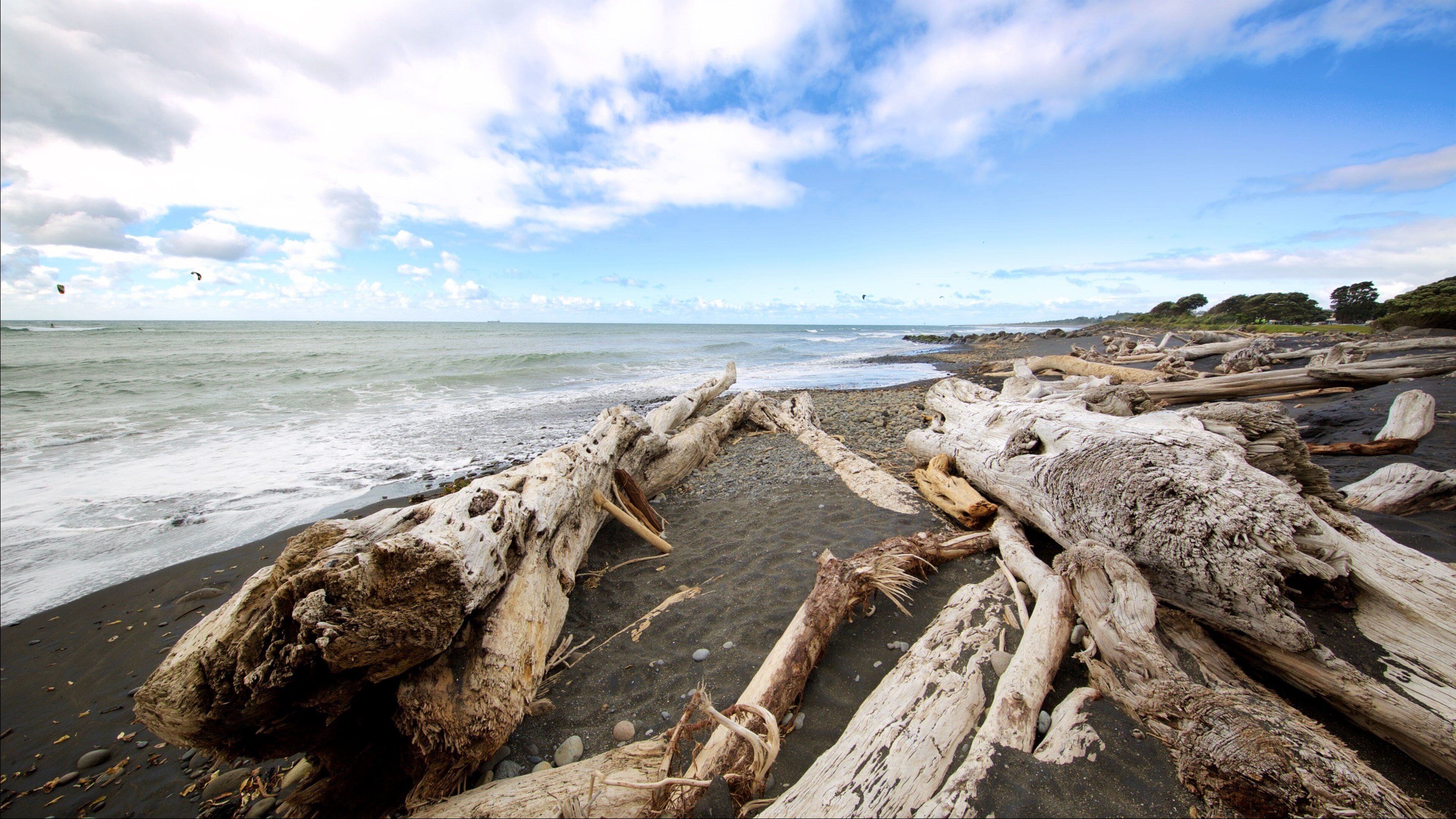 Legno alla deriva su una spiaggia, con onde e cielo parzialmente nuvoloso.